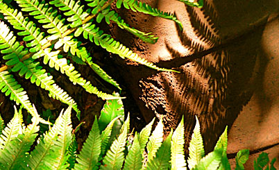 安全的代充渠道求的网站ddos